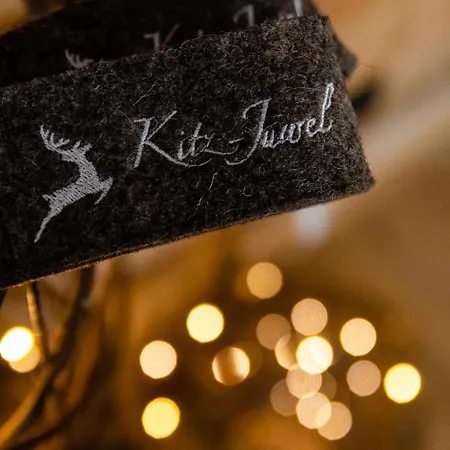 Kitz Juwel 1 Hollersbach im Pinzgau