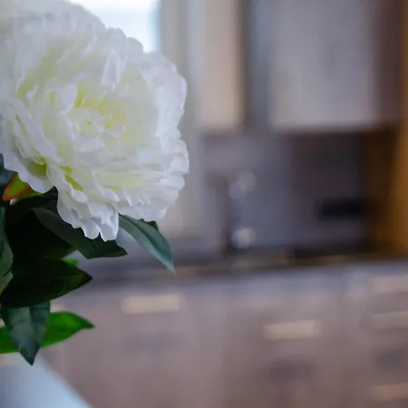 Kitz Juwel 1 홀레르스바흐 임 핀츠가우