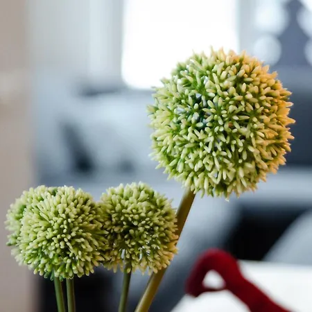 Kitz Juwel 1 Hollersbach im Pinzgau