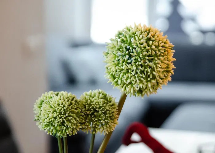 Kitz Juwel 1 홀레르스바흐 임 핀츠가우